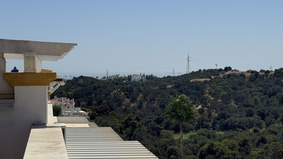 11984f95377e2582779f0237a7dfa182 - 4