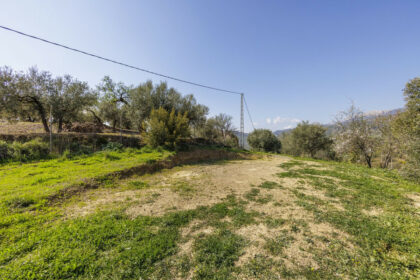 13c8c98d6797abb3e99da2bc7625ee35 - 46