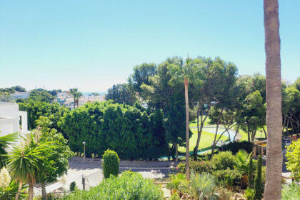 1477425fdd4d06bbb58283604c1e6265 - 29