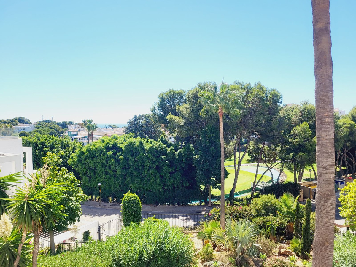 1477425fdd4d06bbb58283604c1e6265 - 29