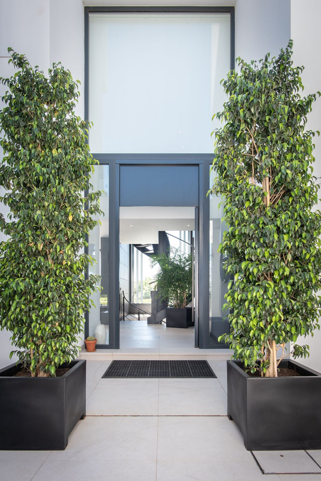 15c3ba5f00d9674826254d8dda67c00c - 8