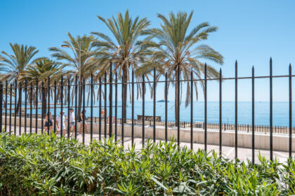 170a2f97b22612d1e6472bd61eaaaaf4 - 13