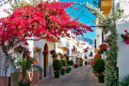 17c717820f771c23012613a9070ae88f - 23