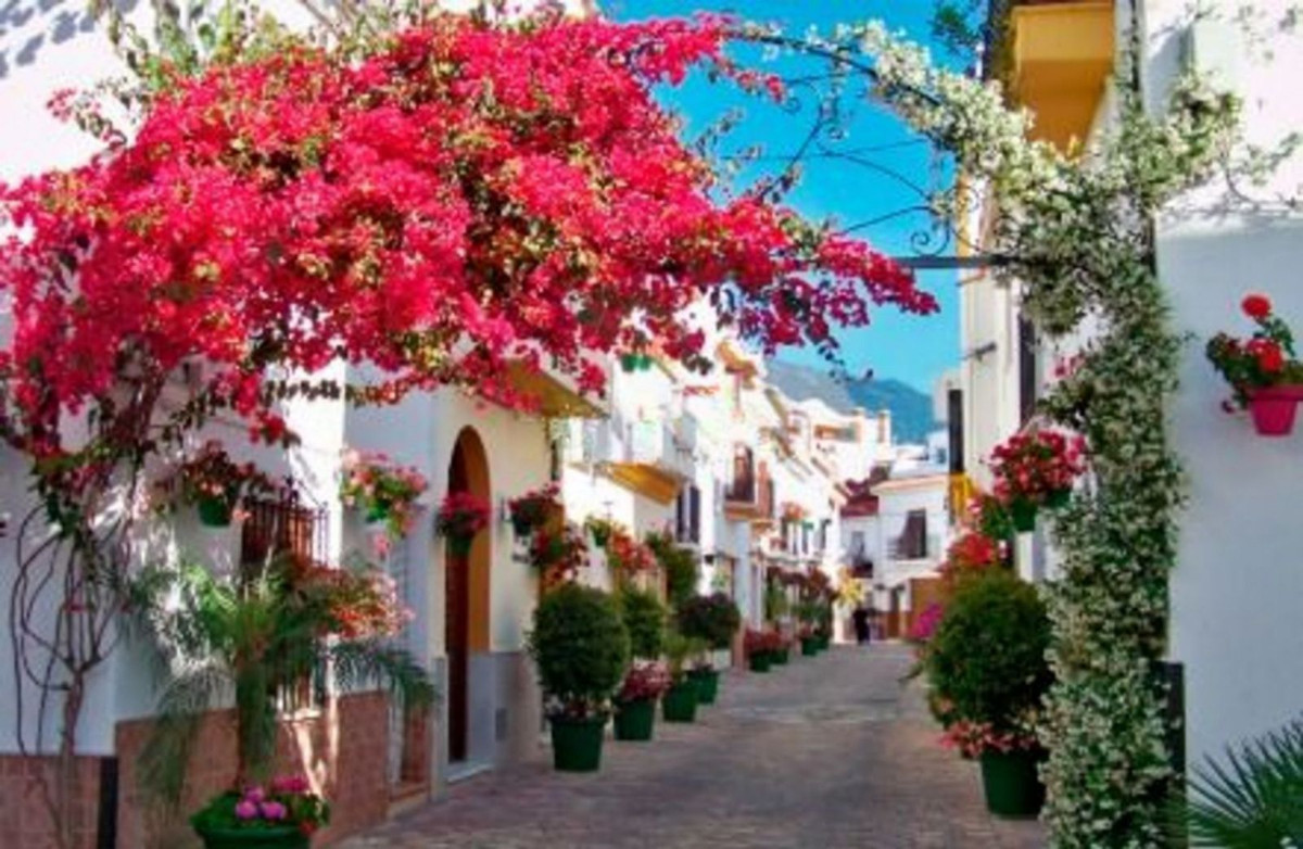 17c717820f771c23012613a9070ae88f - 23