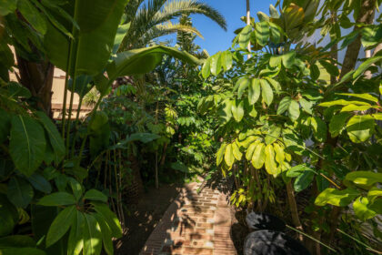 188470453b5ab234c2ea41e82bac266b - 11