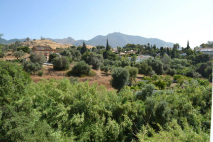 1f412076d547e1b4d2d246df378092d6 - 23