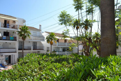 1f412076d547e1b4d2d246df378092d6 - 24