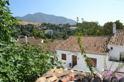 1f412076d547e1b4d2d246df378092d6 - 26