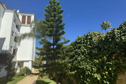 2082cbb8b337da868e9e712429e69f01 - 15