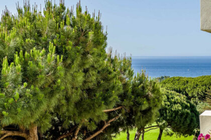 22d72f63d84eb6ec4a2eae8b241fc1f7 - 2