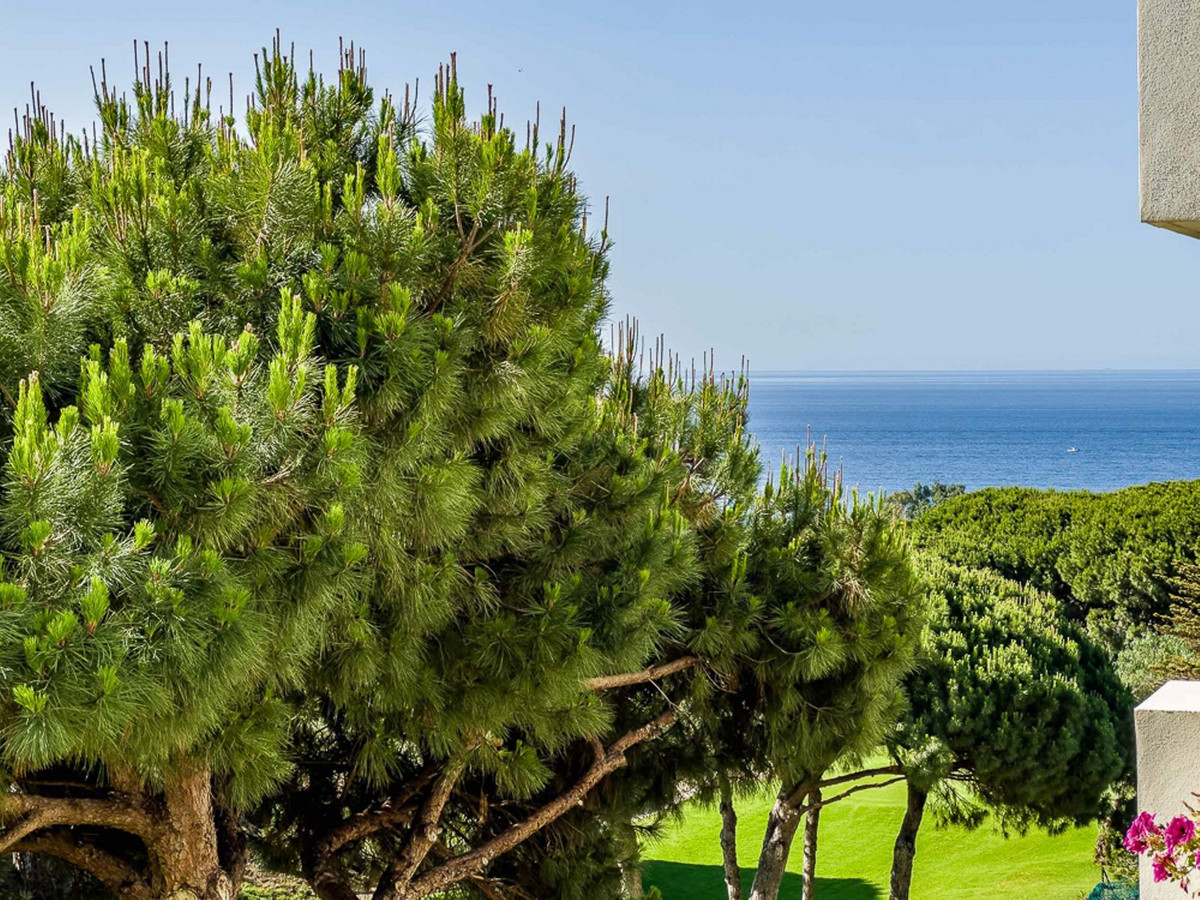 22d72f63d84eb6ec4a2eae8b241fc1f7 - 2