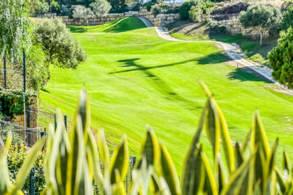 22d72f63d84eb6ec4a2eae8b241fc1f7 - 3