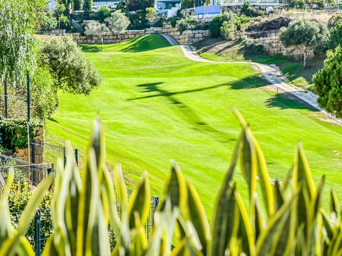 22d72f63d84eb6ec4a2eae8b241fc1f7 - 3