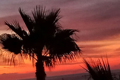 233e6abc9bd7d6fe5fc01d05333e9110 - 49