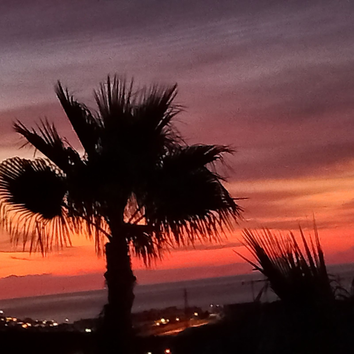 233e6abc9bd7d6fe5fc01d05333e9110 - 49