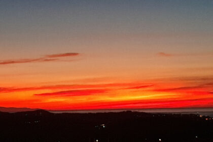 233e6abc9bd7d6fe5fc01d05333e9110 - 50