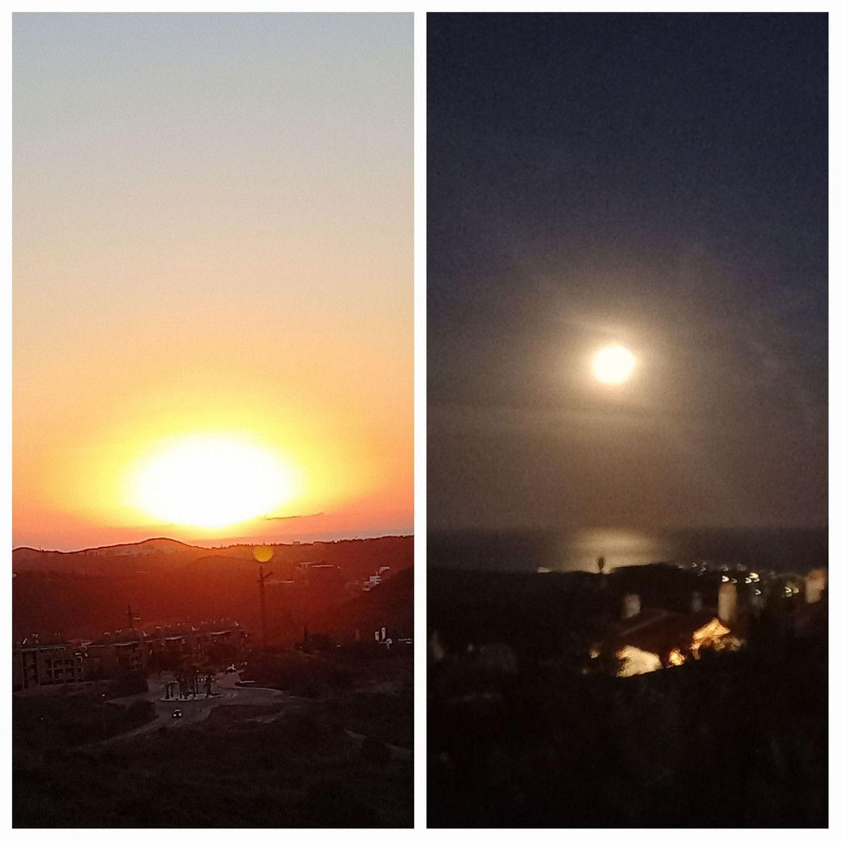 233e6abc9bd7d6fe5fc01d05333e9110 - 51