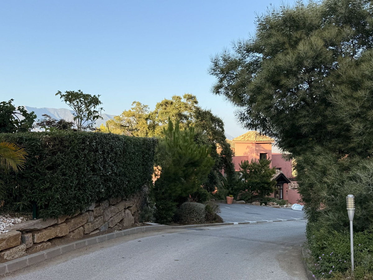 23654d91753d5489b1e953d415d1cb62 - 18