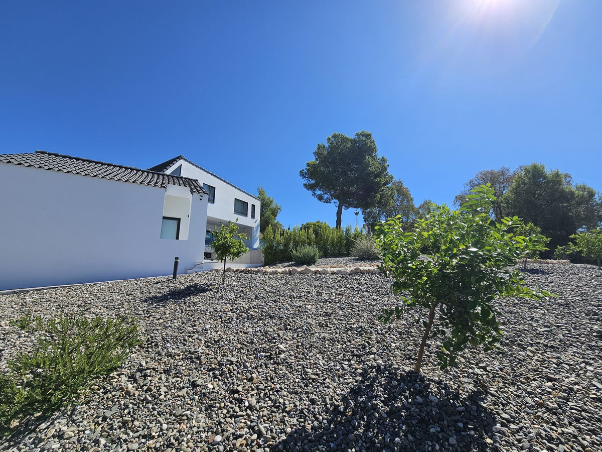 241e8883fb5715f4cdef1ed02a0c13e9 - 65