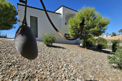 241e8883fb5715f4cdef1ed02a0c13e9 - 76