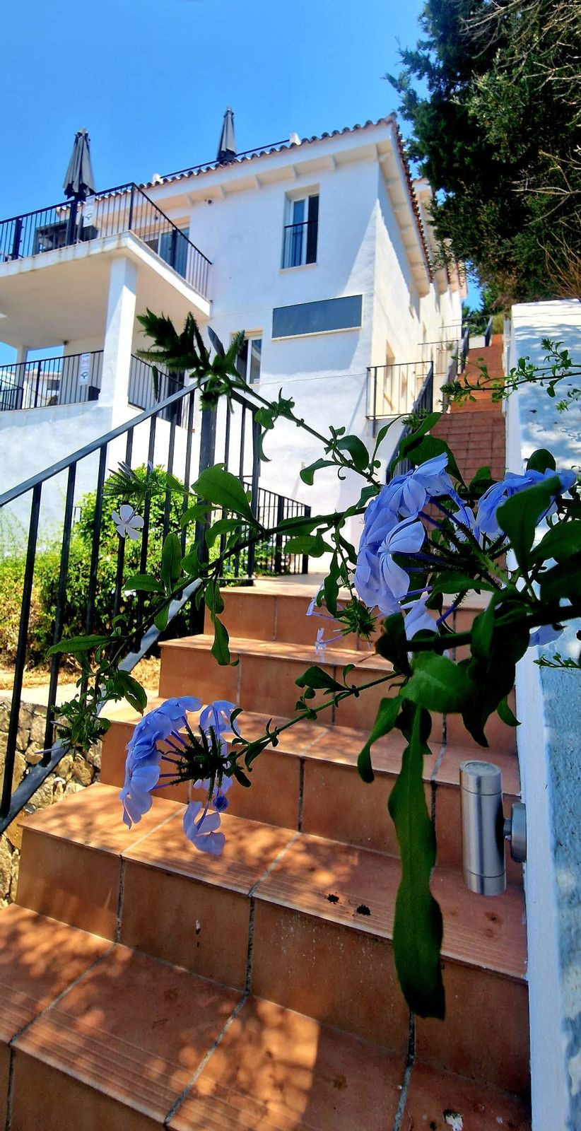 2461227ce3ae5d0638a8f400edc3ebfc - 13