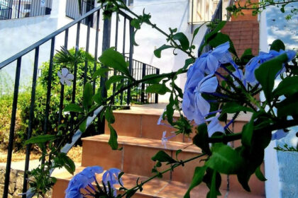 2461227ce3ae5d0638a8f400edc3ebfc - 19