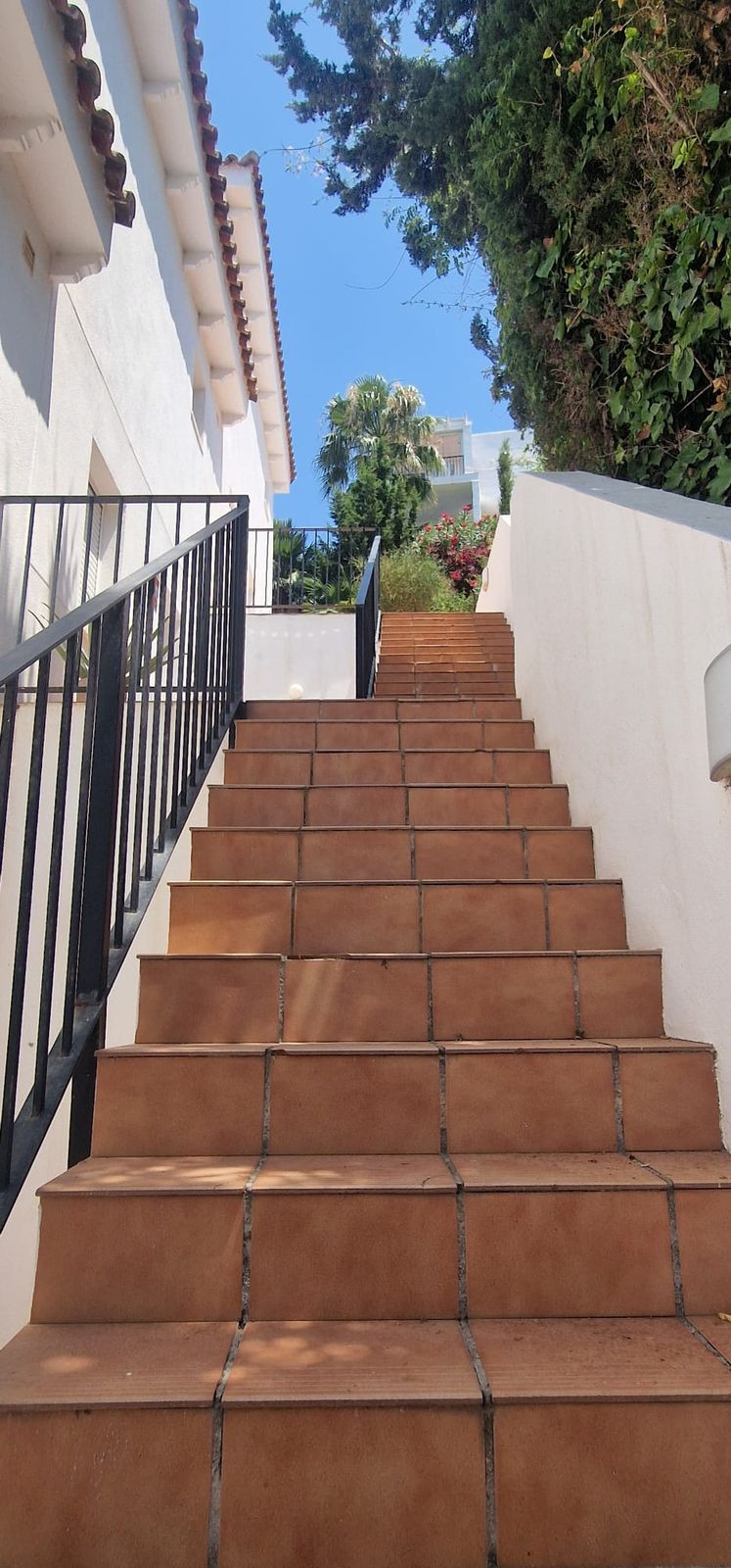 2461227ce3ae5d0638a8f400edc3ebfc - 21