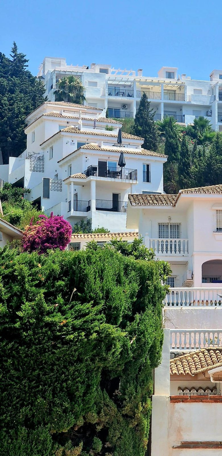 2461227ce3ae5d0638a8f400edc3ebfc - 30