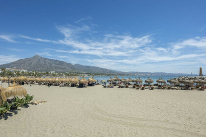 249a2ec33237dcb227d7d35de5142992 - 31