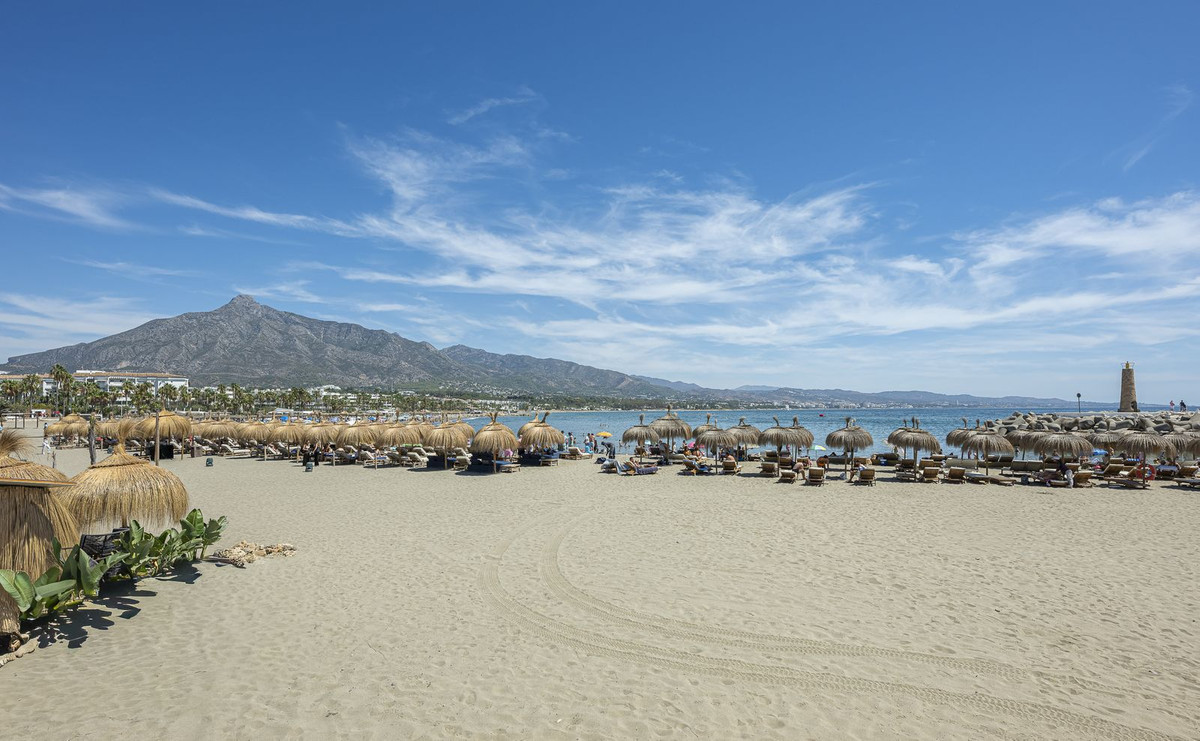 249a2ec33237dcb227d7d35de5142992 - 31