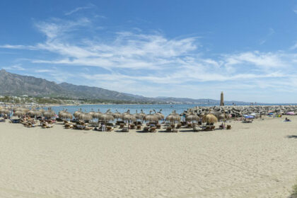 249a2ec33237dcb227d7d35de5142992 - 32