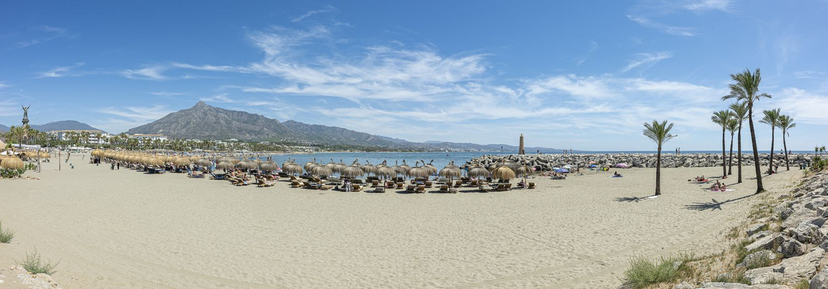 249a2ec33237dcb227d7d35de5142992 - 32