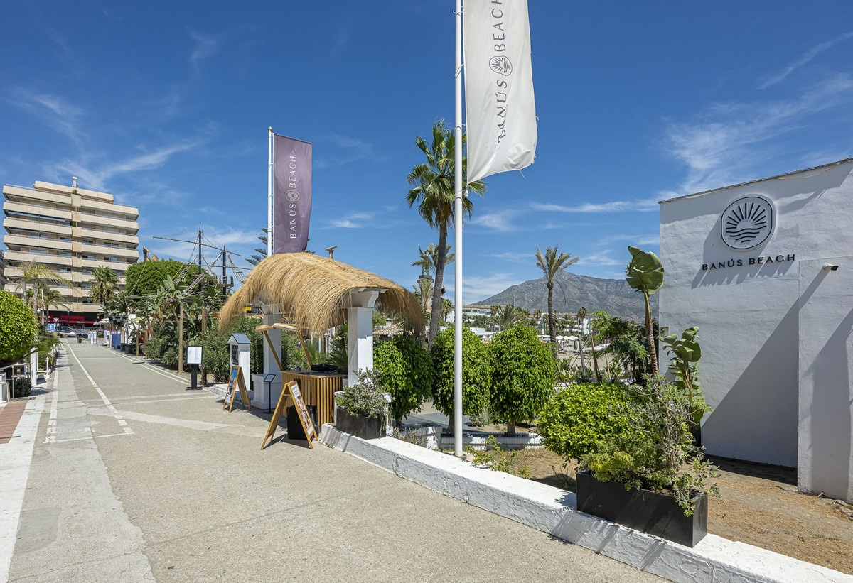 249a2ec33237dcb227d7d35de5142992 - 36