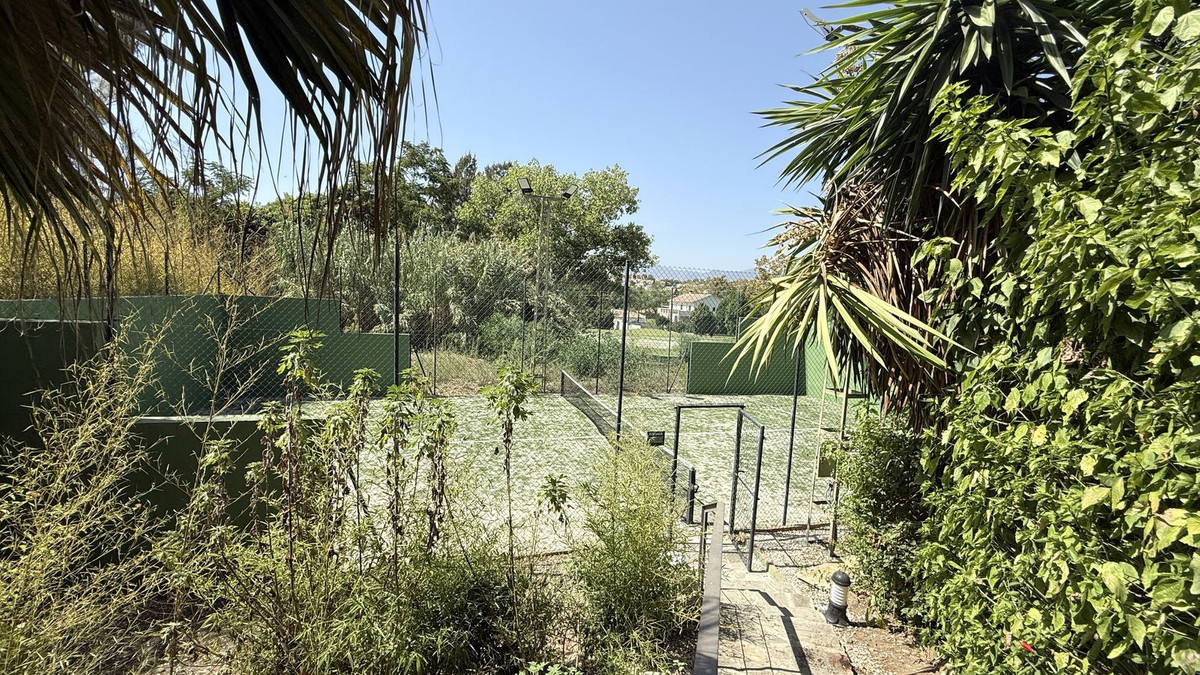 250a4f20421b4f2f99e35330966407b0 - 30