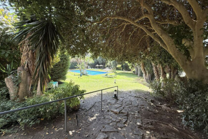 250a4f20421b4f2f99e35330966407b0 - 31