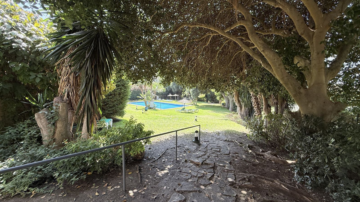 250a4f20421b4f2f99e35330966407b0 - 31