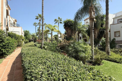 250a4f20421b4f2f99e35330966407b0 - 33