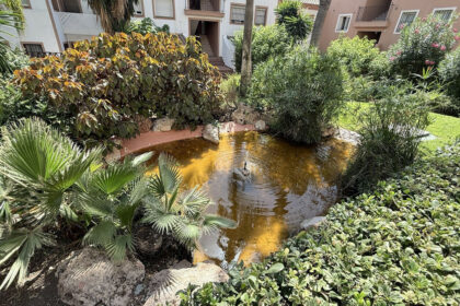 250a4f20421b4f2f99e35330966407b0 - 34