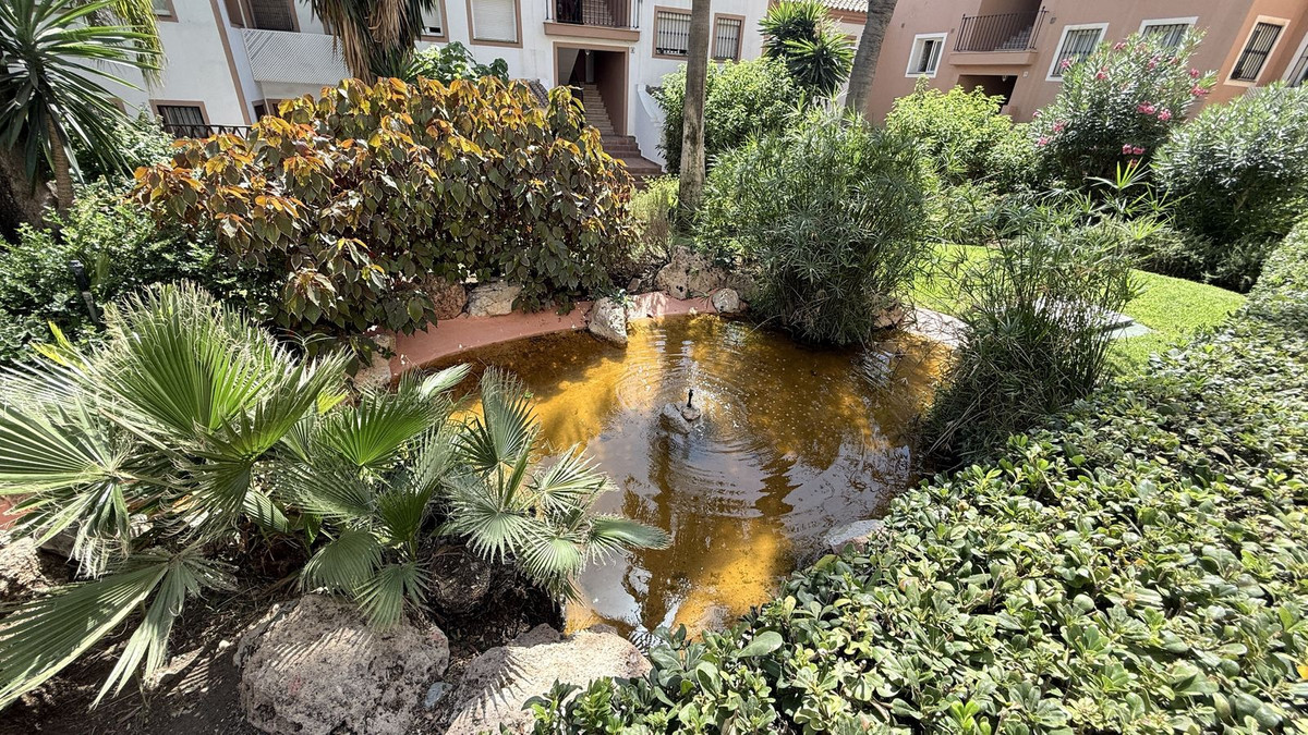 250a4f20421b4f2f99e35330966407b0 - 34