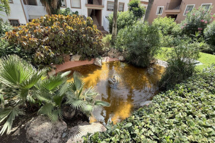 250a4f20421b4f2f99e35330966407b0 - 35