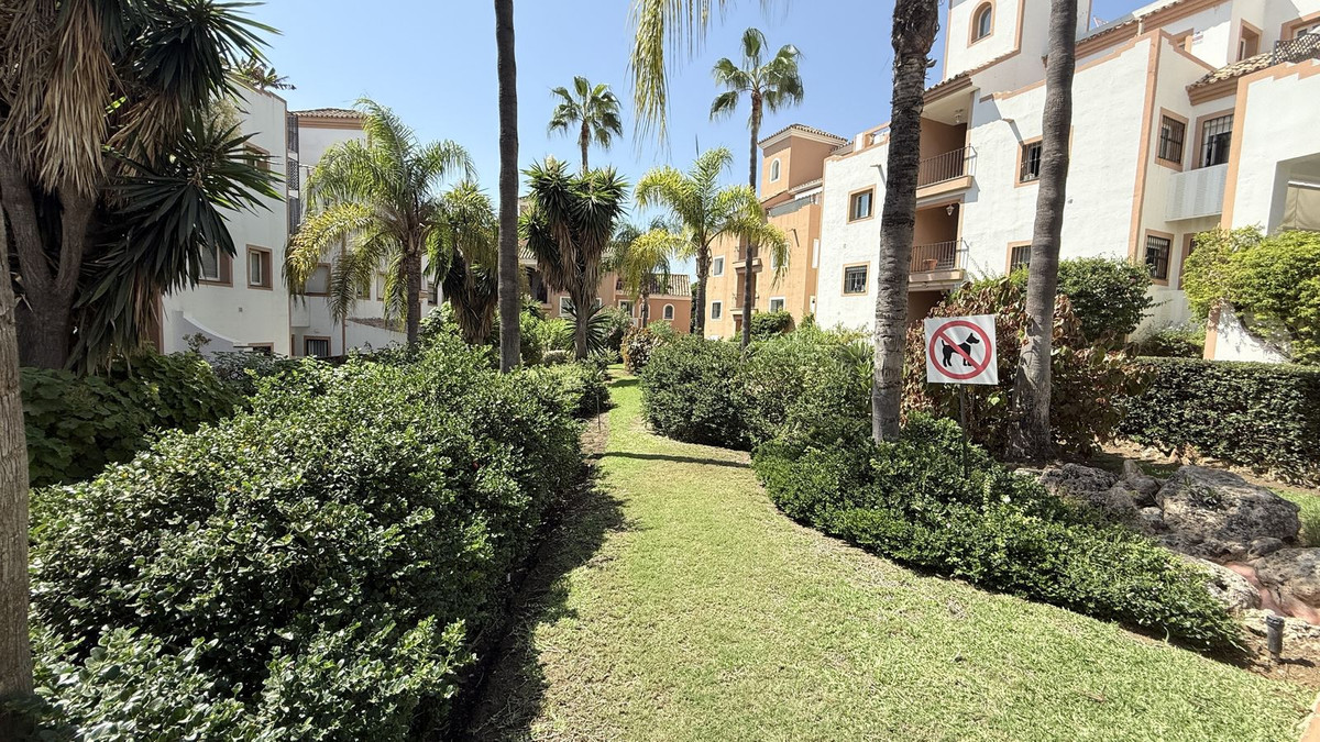 250a4f20421b4f2f99e35330966407b0 - 36