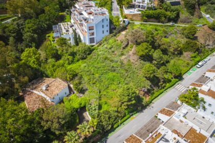 26ae8573b0e9070272fa2ca2806e1867 - 14