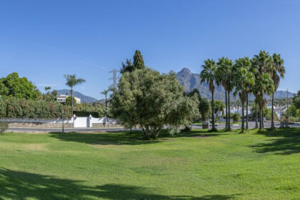 277a727a87cfcda276a0d35ad7ec91b4 - 35