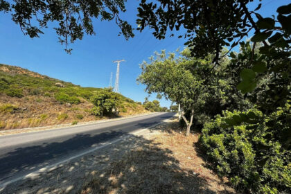 289fad5c216b372dcf29c78af77a4267 - 4