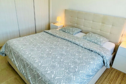 29a818fb667fef4fed3da7cae742559f - 27