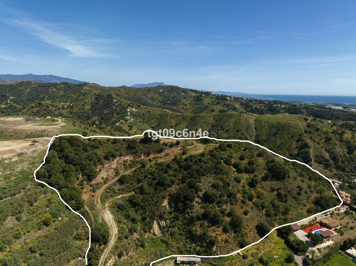 29d486fbb6893c6485623f5d040762e1 - 44