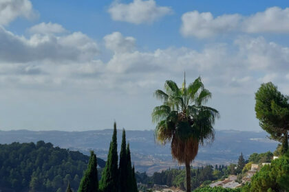 2a0ab89b16f432f0333fb3f59c534645 - 22