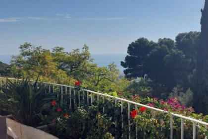 2a0ab89b16f432f0333fb3f59c534645 - 24