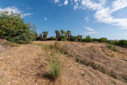 2a5074fce37f7481b5c35a328b8a2fc9 - 14