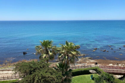 2ab315122f7e98f0cdbf65d4e21cd7ae - 2